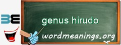 WordMeaning blackboard for genus hirudo